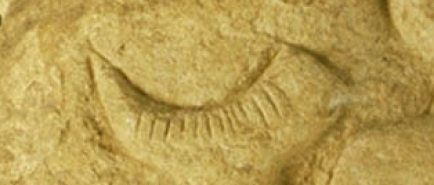 "Vénus à la corne" de Laussel, 25000 - 20000 avant J.C., calcaire, 54 x 36 x 15,5 cm. Collection Musée d'Aquitaine, Bordeaux, Inv. 61.3.1 (c) DEC, photo L. Gauthier